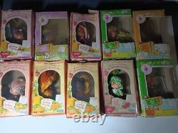 Vintage 1980s Kenner Strawberry Shortcake MONSTER LOT (36) ALL IN BOX RARE