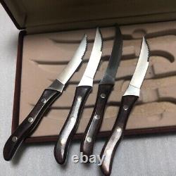 Vintage BUCK 107 Steak Set with Box Rare