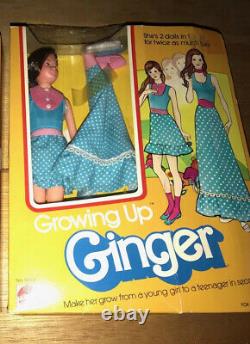 Vintage Barbie GROWING UP Ginger Doll VERY RARE with Box (1975-77)